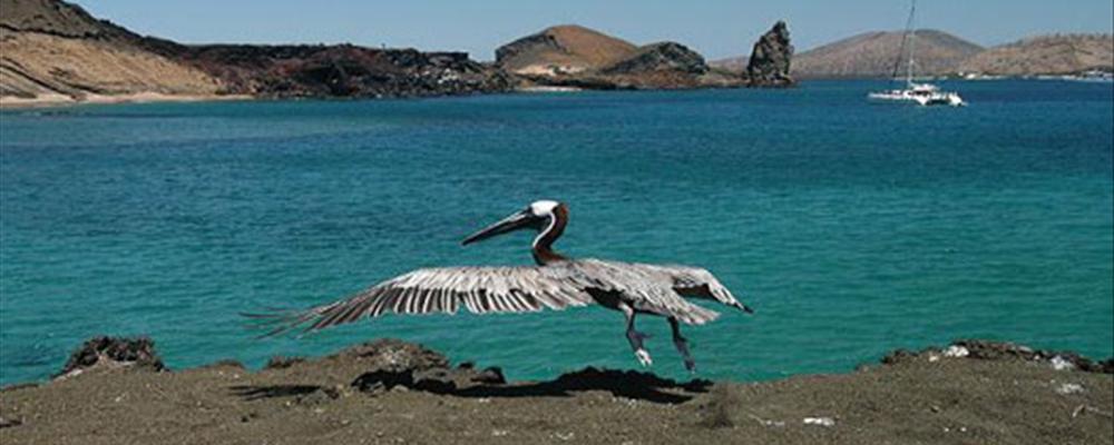 the galapagos islands, ecuador